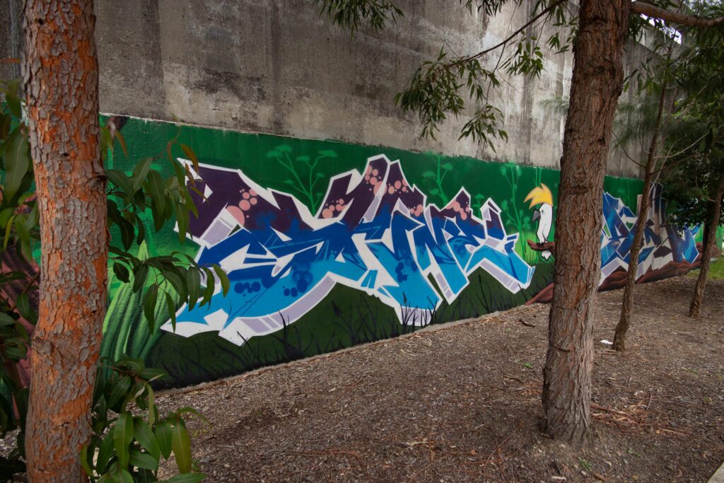 _MG_9355 graffiti lettering mural Sydney detailed piece close up